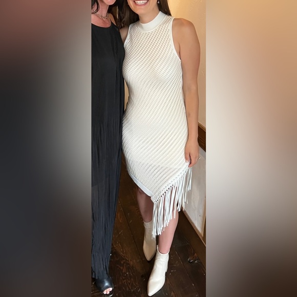 Jonathan Simkhai CHELLE POINTELLE FRINGE DRESS - Picture 2 of 8